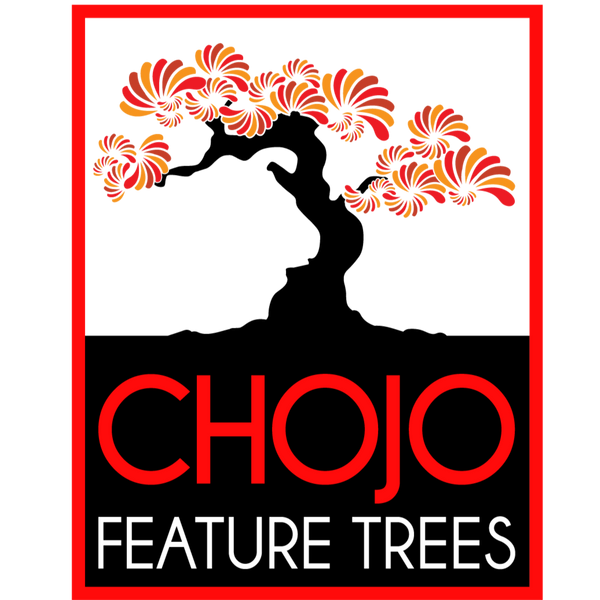 Chojo