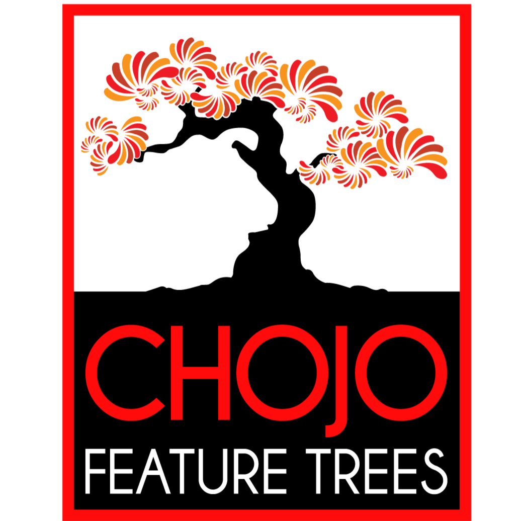 Chojo logo